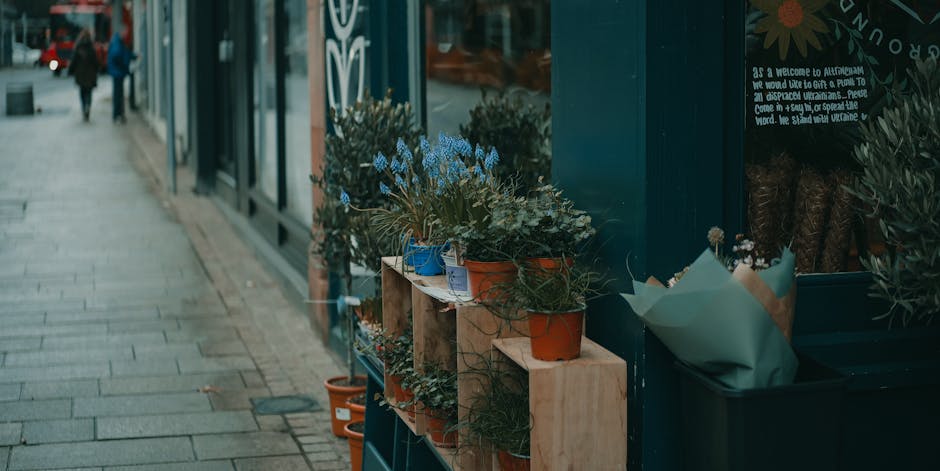 A display of potted flowers arranged on wooden shelves outside a shop, featuring various plants with green foliage and delicate blue flowers. The pots are made of terracotta and ceramic, with some wra