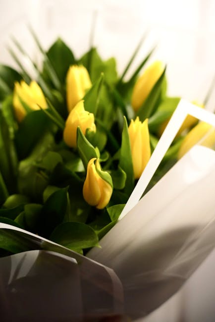 A bouquet of fresh yellow tulips with bright green leaves, arranged in a neat cluster and wrapped in clear and white floral paper. The tulips' petals are smooth and slightly curved, showcasing their v